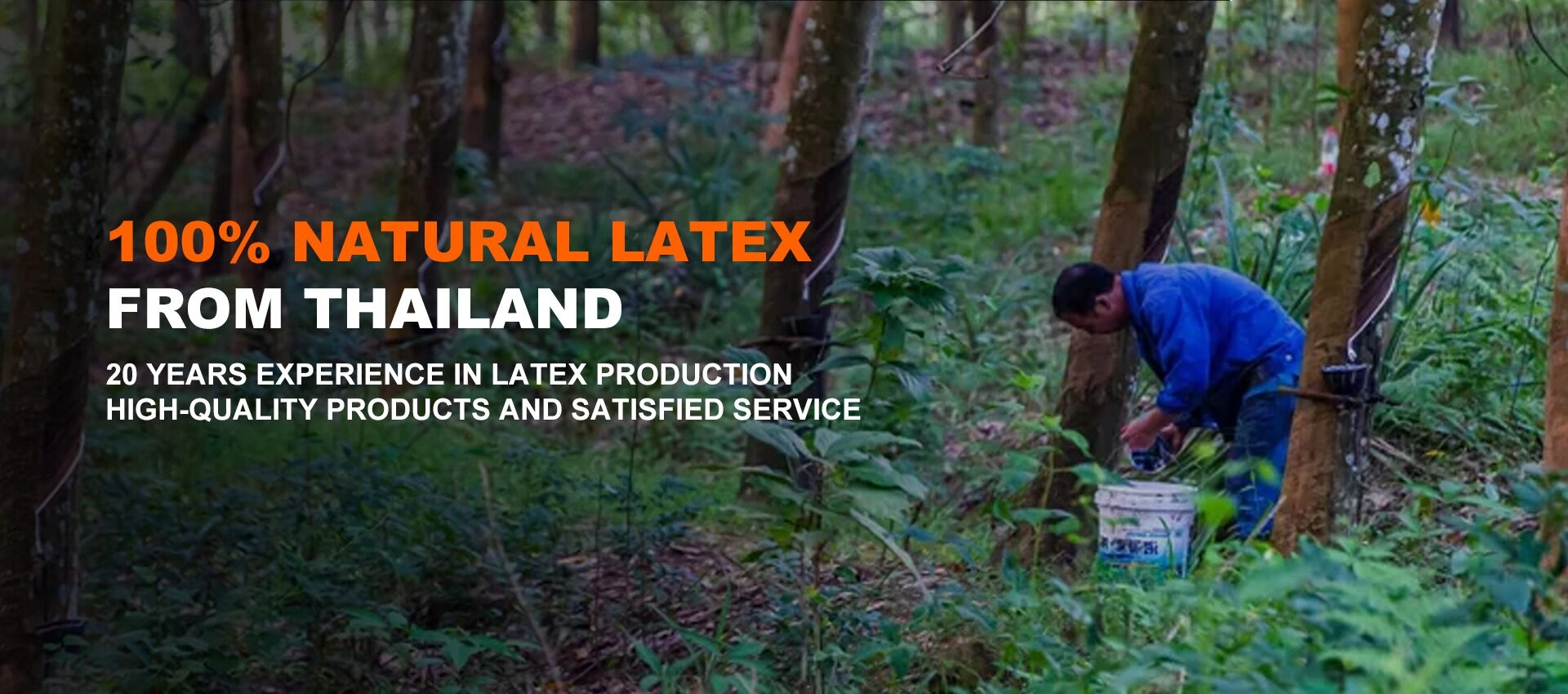Natierlecht Latex Matratzmaterial