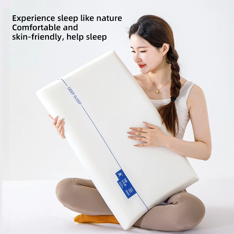 Standard Thickness Bread Memory Foam Pillow