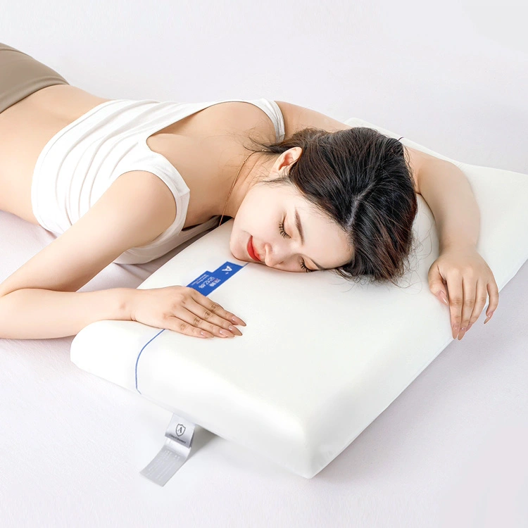 Standard Thickness Bread Memory Foam Pillow