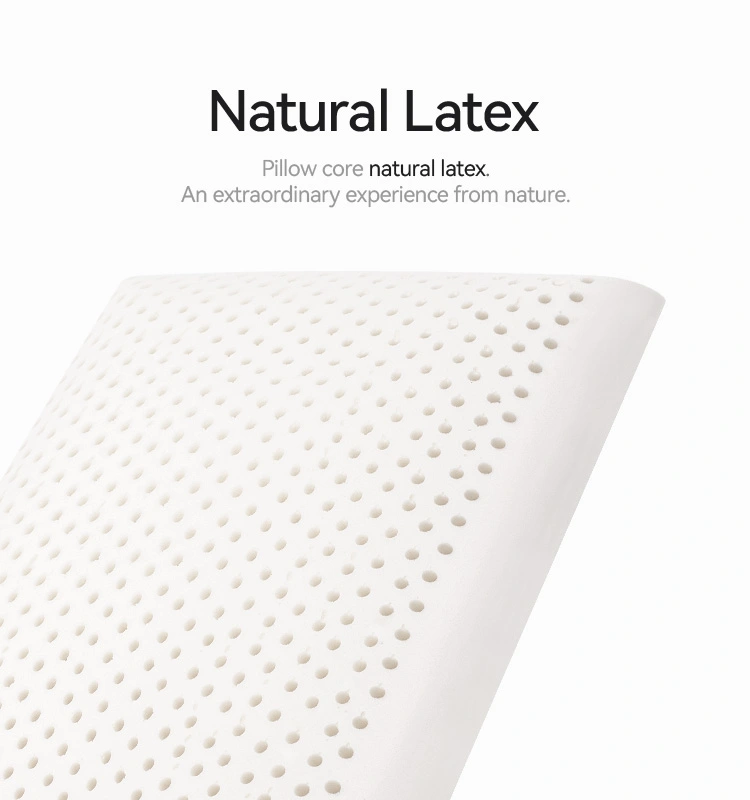 Queen Size Latex Bread Pillow